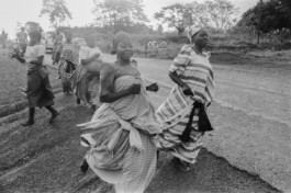 WernerHaug_photographys