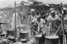 WernerHaug_photographys