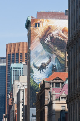 WernerHaug_photographys