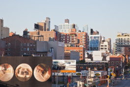 WernerHaug_photographys