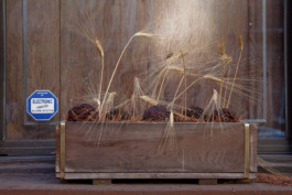 WernerHaug_photographys