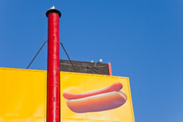 WernerHaug_photographys