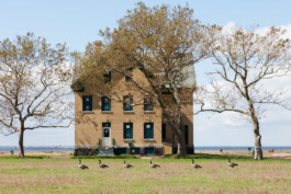 WernerHaug_photographys