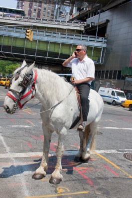 WernerHaug_photographys