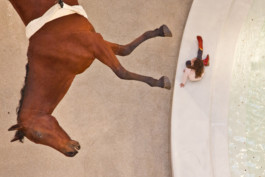 WernerHaug_photographys