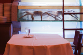 WernerHaug_photographys