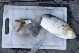 WernerHaug_photographys