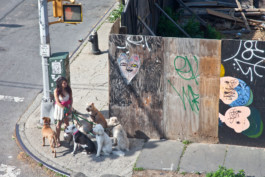 WernerHaug_photographys