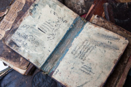 WernerHaug_photographys