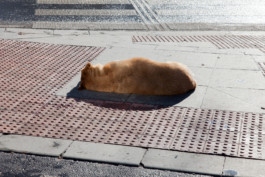 WernerHaug_photographys