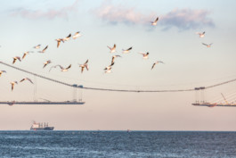 WernerHaug_photographys