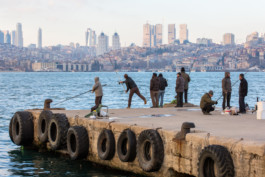  WernerHaug_photographys