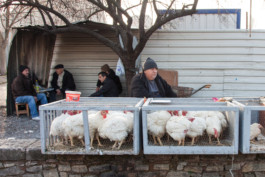 WernerHaug_photographys