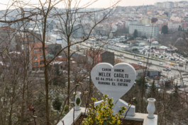 WernerHaug_photographys