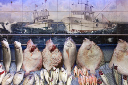 WernerHaug_photographys