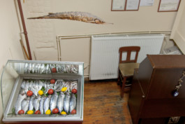 WernerHaug_photographys