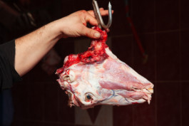 WernerHaug_photographys